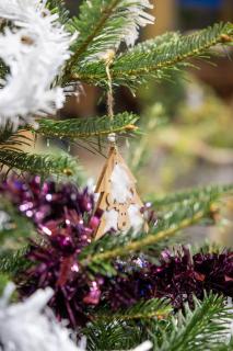 Appartement Béthanie - 3