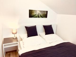 Gemütliches Apartment mit Fernblick Kamin Balkon - Zwiesel - 8