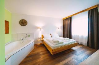 Aktivhotel Wildschütz - Gmunden - 7