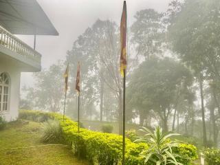 Hotel Royal Mount - Paradeka - 4