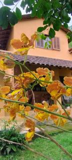 Hospedagem Brilho da Lua - 4