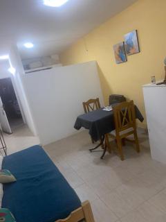 Pingüinito - Puerto Madryn - 4