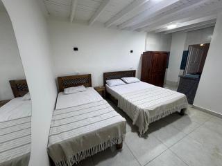 Cozy Camel Studios - 3