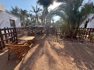 Cozy Camel Studios - Dahab - 1