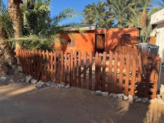 Cozy Camel Studios - Dahab - 0