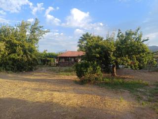PARCELA en MELIPILLA - Melipilla - 6