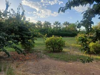 PARCELA en MELIPILLA - Melipilla - 5