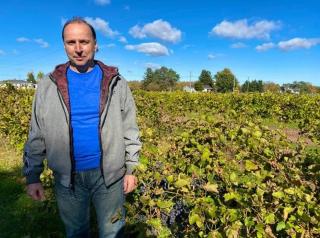 Sunbury Cove Winery - 9