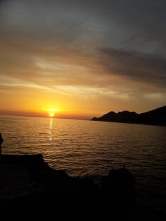 apartmani FIT Montenegro - 3