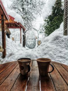 Angel Holiday House - Ravna Gora - 7