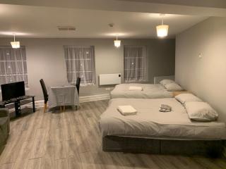 Viking triangle Waterford city - 5