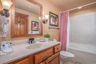 2BR Village At Indian Point 1908 near SDC - Free Tickets Daily up to $500 - 1