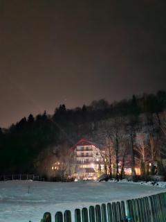 Rare Forest Retreat - Bran - 6