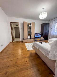 Cozy Apartment Craiovei - 8