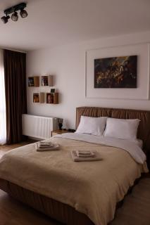 ApArte Suite - Rîşnov - 9
