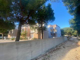 Adria apartments with swimming pool - Vir - 7