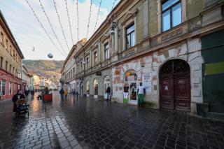 Weiss Residence - Braşov - 4