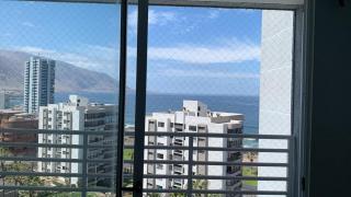 In front of Playa Brava Iquique - Iquique - 8