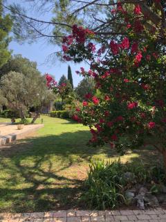 Gite en Provence dans grand jardin avec piscine partagée - Cornillon-Confoux - 9