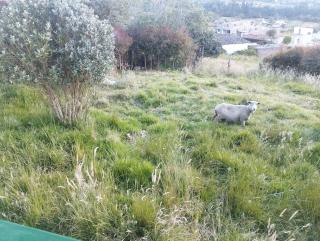 Casa campestre a 3 kilómetros del páramo de Ocetá - 7