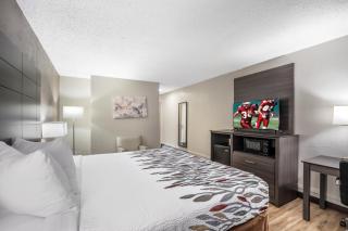 Red Roof Inn & Suites Sulphur Springs - 4