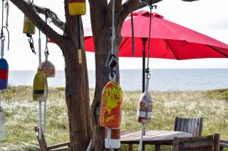 Ocean Views Steps to Private Beach A C - Truro - 1