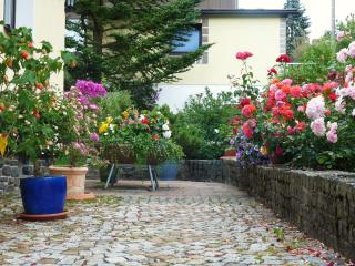 Ferienhaus Riedl - Klingenthal - 1