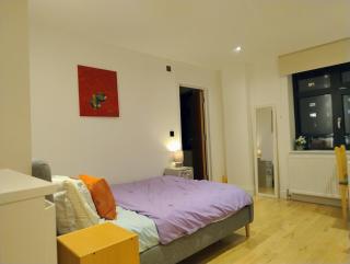 Fantastic location Ensuite luxury Shoreditch Hoxton spitalfields Liverpool st London Bridge city guest rooms for up to 5 guests - 0