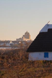 Appartement "La Rose des Vents" - Saintes-Maries-de-la-Mer - 7