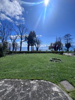 Cabañas Gabella - Lago Ranco - 0