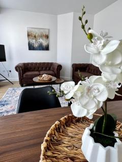 Orchid S&N House 2 - Bristol - 0