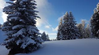 Chalet Elsa Murau Austria - Murau - 8