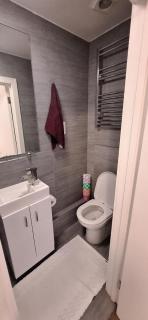 Cozy en-suite in central London in shared flat - London - 2