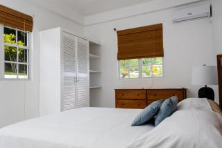 Sea and Summit Villa - Roseau - 3
