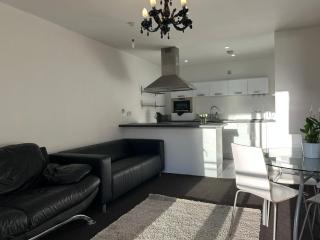 Central 2bed 2bath - Manchester - 8