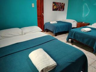 Hostal Puerto Ayora - Puerto Ayora - 9