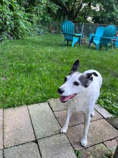 Relaxing townhouse downtown Dubuque - 8