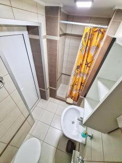 Vila Aleksandra 2 Studio 2 - Soko Banja - 3