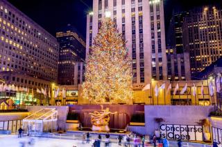 Duplex apt - Dining - 80in Projector - Pool Table - 2