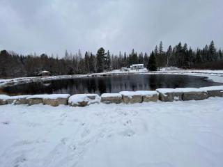 Peaceful and Heavenly Private Water Front Cottage on 100 Acres of Scenic Beauty- Trent Lakes - - 0