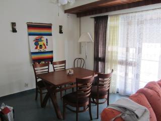 Nice apartment 100 meters away from Playa Brava - Punta del Este - 1