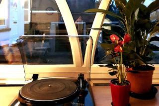 One Bedroom Flat Chertsey - Pets Welcome - Chertsey - 1