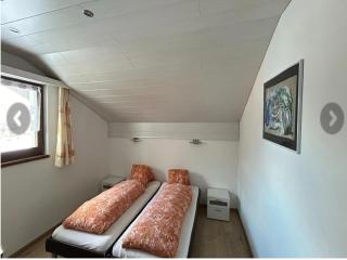 Chalet with 2 apartments surroundes by meadows - Saas-Grund - 1