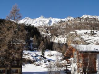 Chalet with 2 apartments surroundes by meadows - Saas-Grund - 6