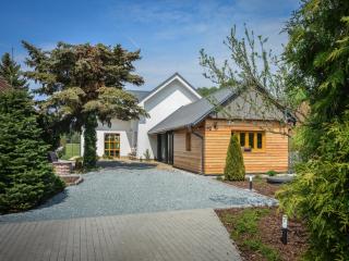 Villa in Kladruby nad Labem - Řečany nad Labem - 5