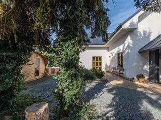 Villa in Kladruby nad Labem - Řečany nad Labem - 3