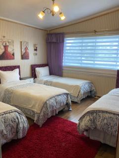Hostal Argentina Osorno - Osorno - 9