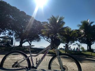 Only womens in the heart of orange trees - 5