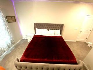 Beautiful 3 bedroom house - Raleigh - 6