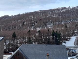 Appartement lumineux sud au cœur de Super Besse - FR-1-814-59 - Besse-et-Saint-Anastaise - 3